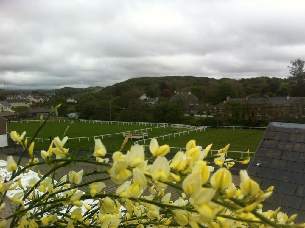 Errismore House Clifden Rom bilde